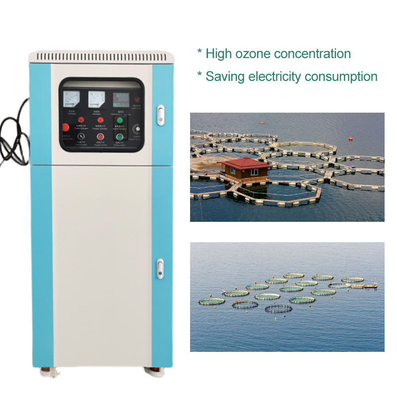 30g/h Treatment of Nuclear Polluted Wastewater Purification of Aquaculture Water Ozone Generator