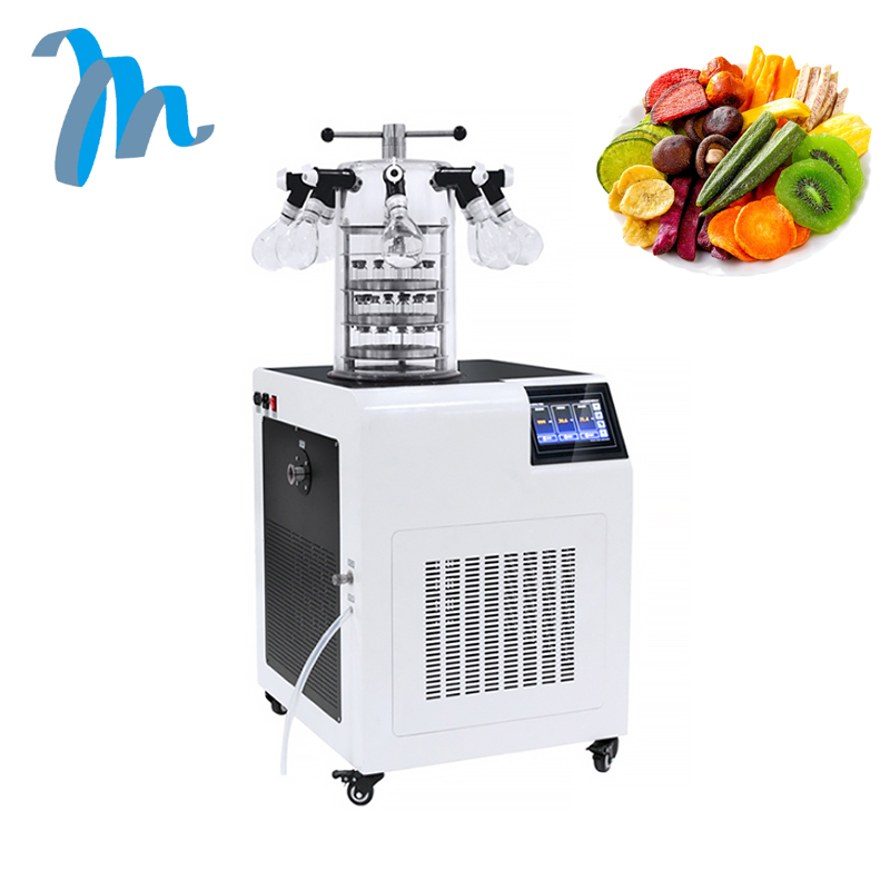 Moreshine Freeze Dryer Machine Home Or Lab Vacuum Drying Equipment for Fruit