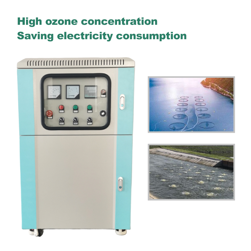 30g/h Treatment of Nuclear Polluted Wastewater Purification of Aquaculture Water Ozone Generator