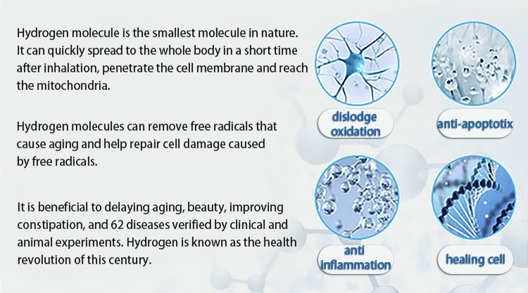 hydrogen inhaler (5)