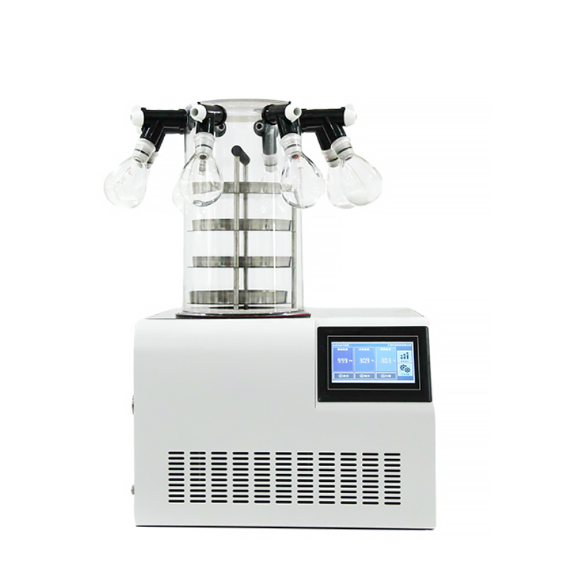 Laboratory Liofilization Machine Fruit Vacuum Freeze Drying Equipment Freeze Dryer Vacuum